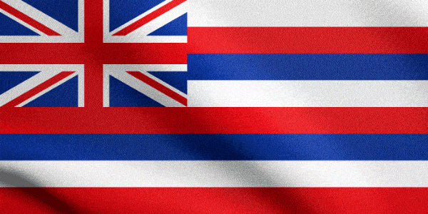 movers across country from West Virginia to Hawaii