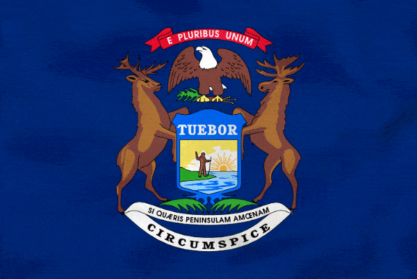 movers across country from West Virginia to Michigan