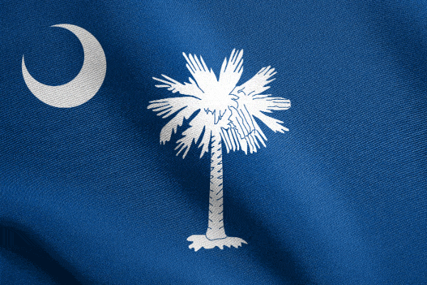 movers across country from West Virginia to South Carolina