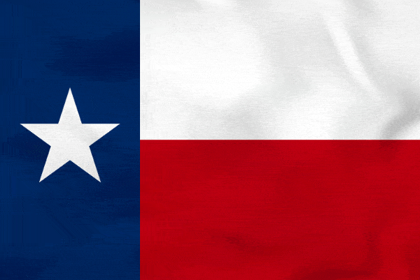 movers across country from West Virginia to Texas